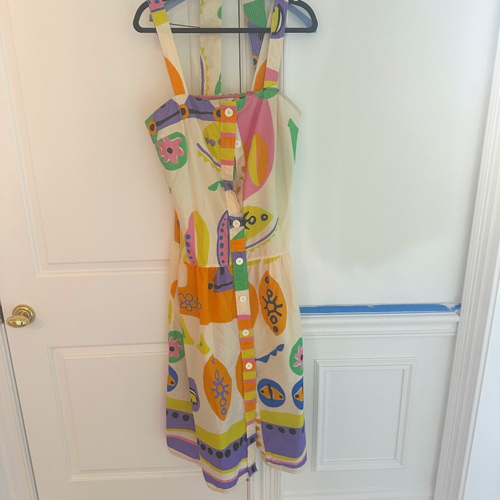 Zara Multicolored Dress- Large